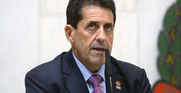 Delegado Olim