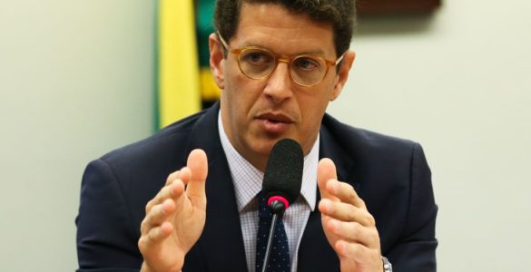 O ministro do Meio Ambiente, Ricardo Salles
