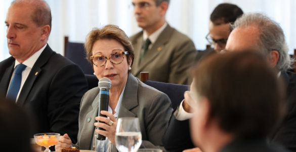 Ministra da Agricultura, Tereza Cristina
