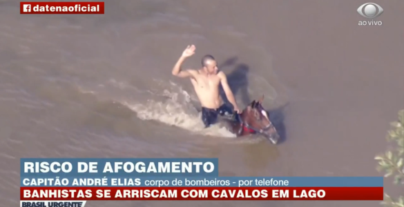 Homem agride cavalo dentro de lagoa em Carapicuíba