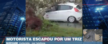 Árvore cai em cima de carro e motorista sai com ferimentos leves