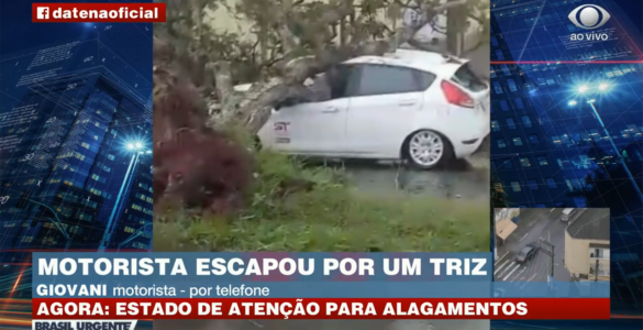 Árvore cai em cima de carro e motorista sai com ferimentos leves