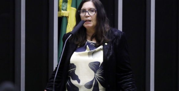 A deputada federal Bia Kicis (PSL-DF)